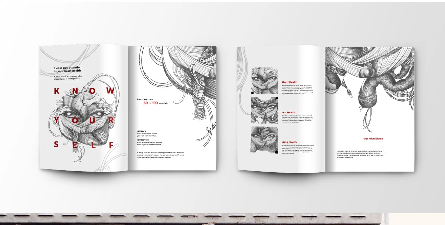 Campaign booklet cover and interior editorial layouts