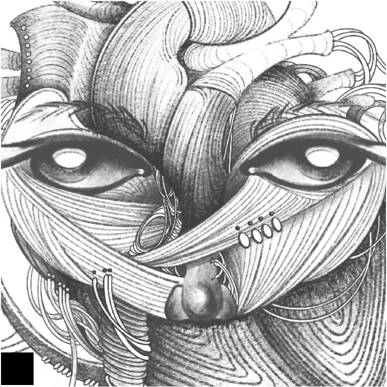 Anatomical face illustration 1 for the Know Yourself campaign