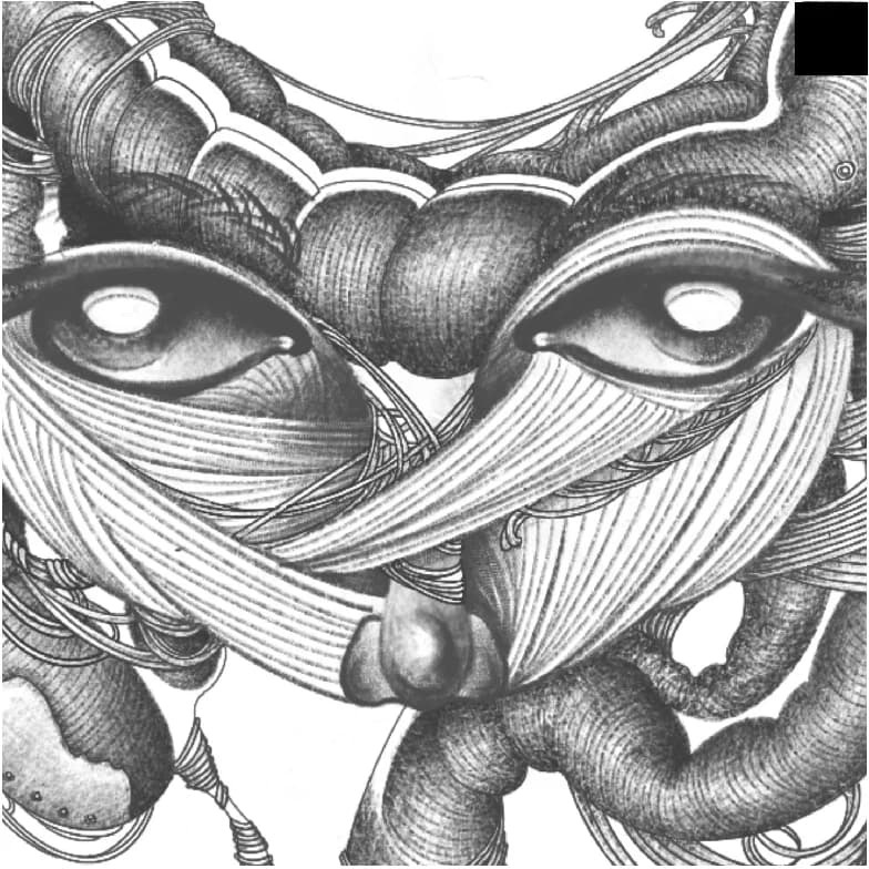 Anatomical face illustration 2 for the Know Yourself campaign