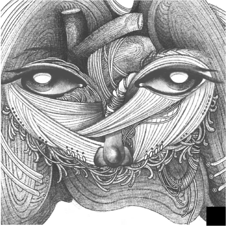 Anatomical face illustration 3 for the Know Yourself campaign