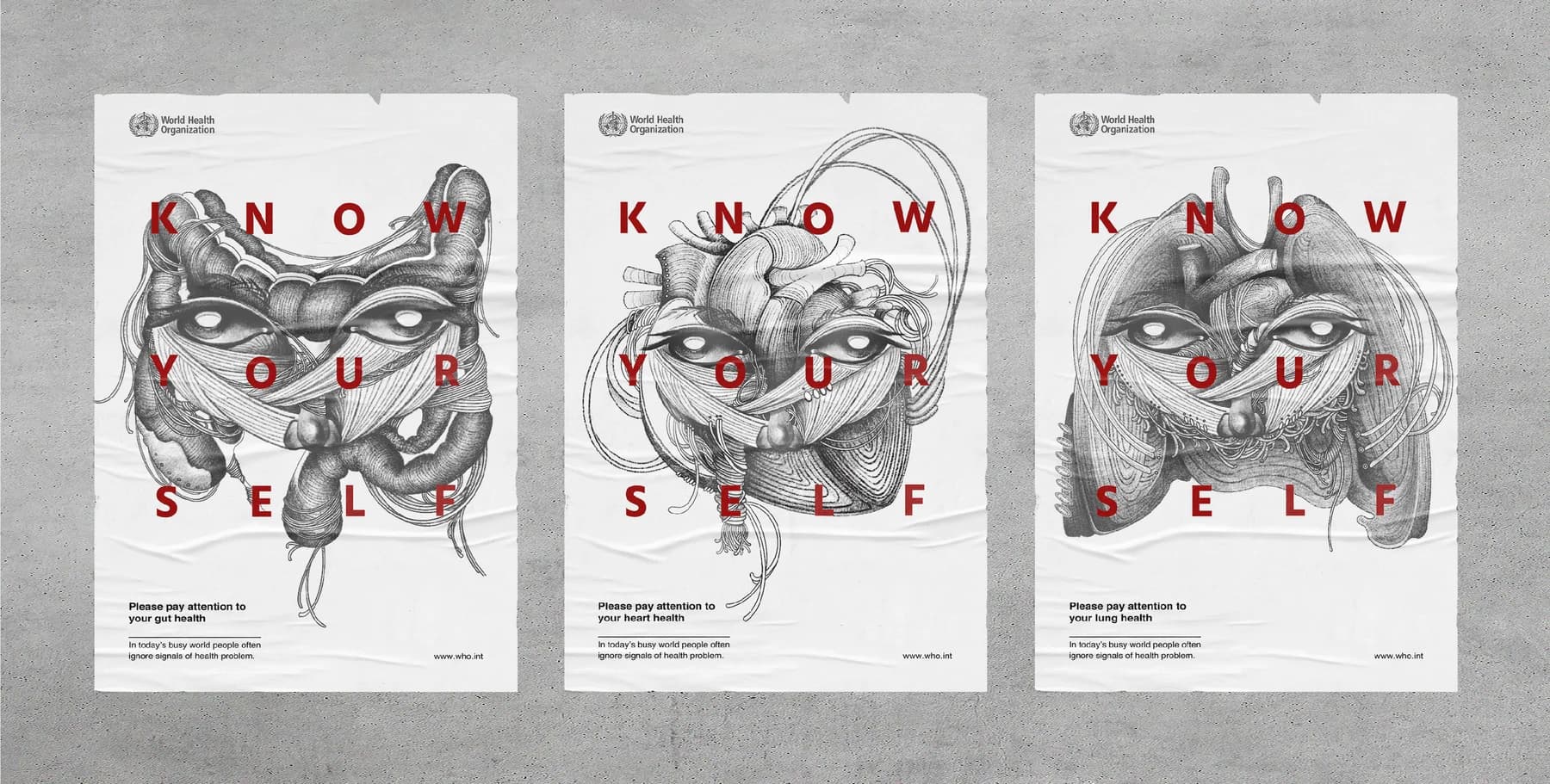 Three Know Yourself anatomical illustration posters
