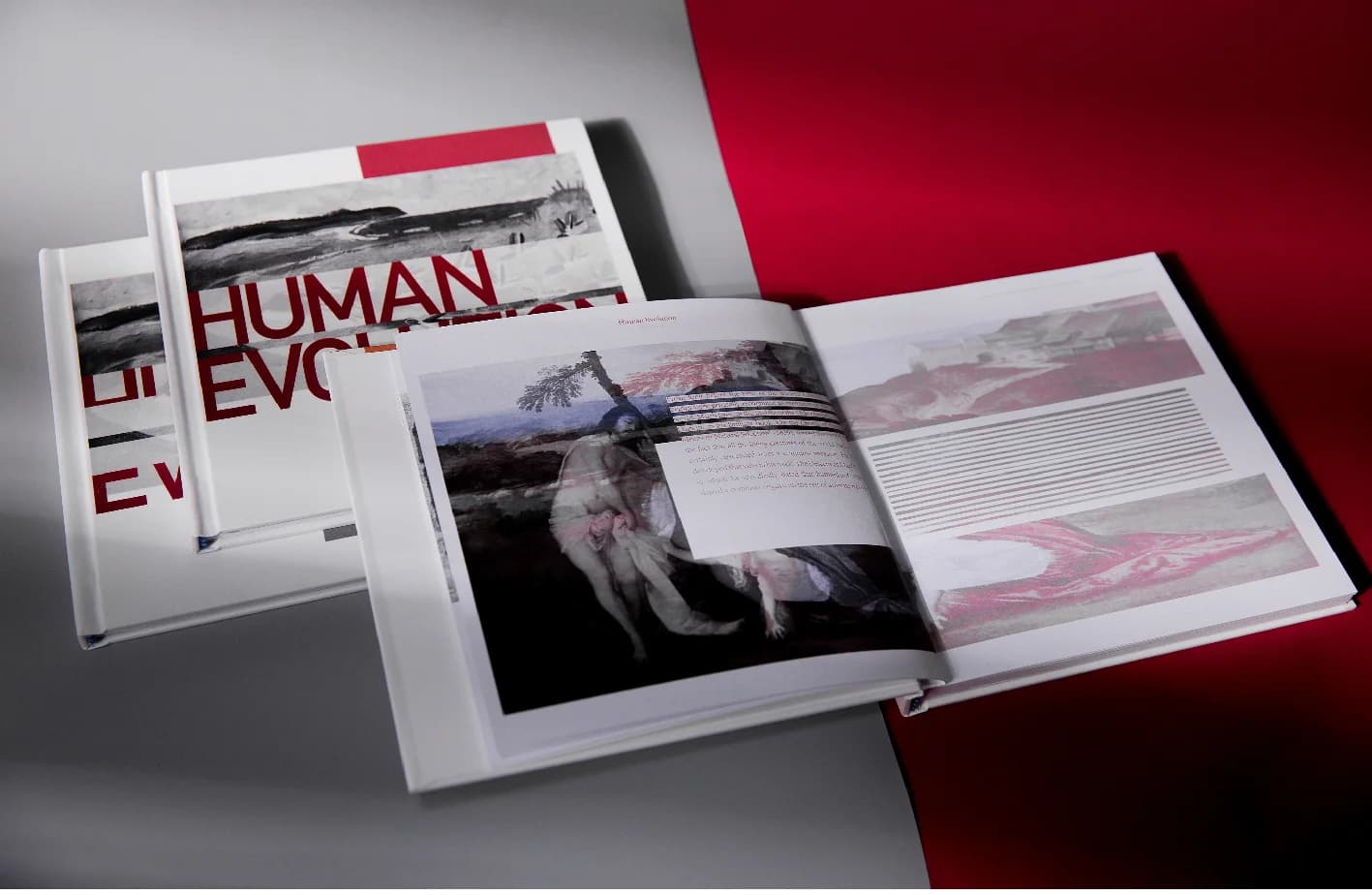 Human Evolution book design — detail 1