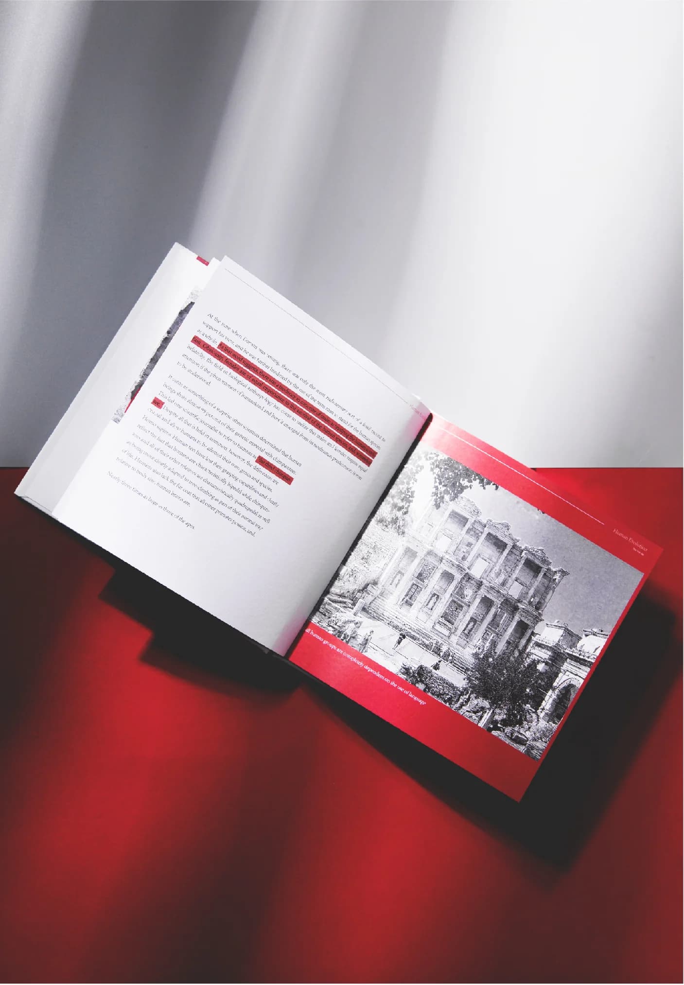 Human Evolution book design — detail 3
