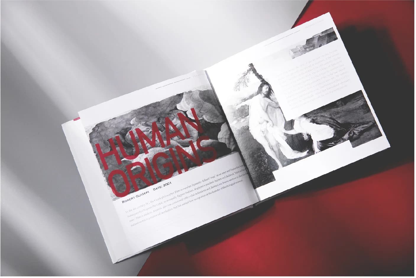 Human Evolution book design — detail 4