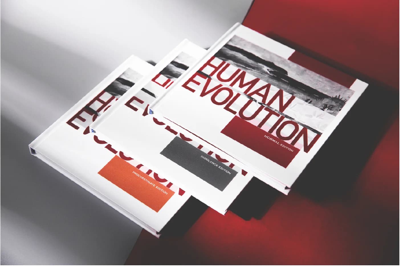 Human Evolution book design — detail 5
