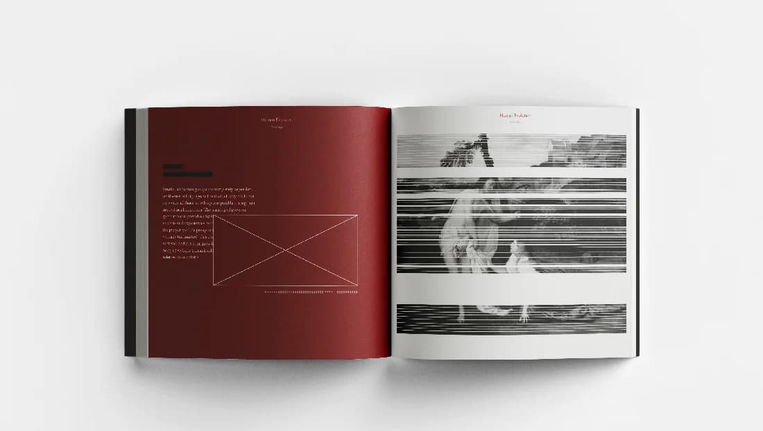 Human Evolution book design — spread 11