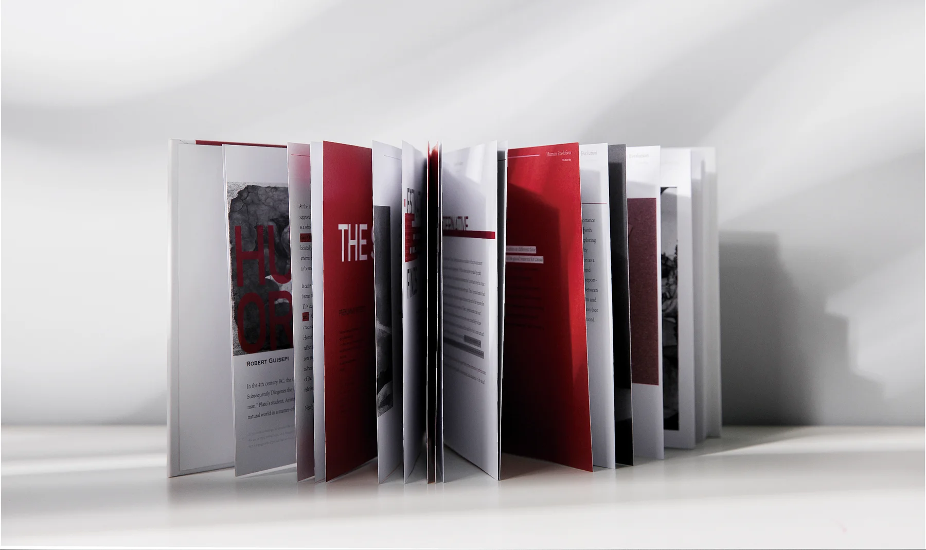 Human Evolution book design — standing